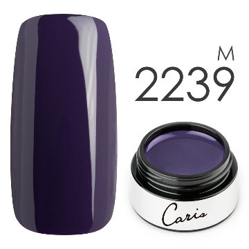 カラージェル#2239マット系カラージェル　国産化粧品製造販売届出済、プロ用カラージェルの画像