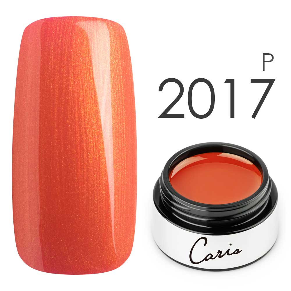 カラージェル#2017パール系カラージェル　国産化粧品製造販売届出済、プロ用カラージェル画像