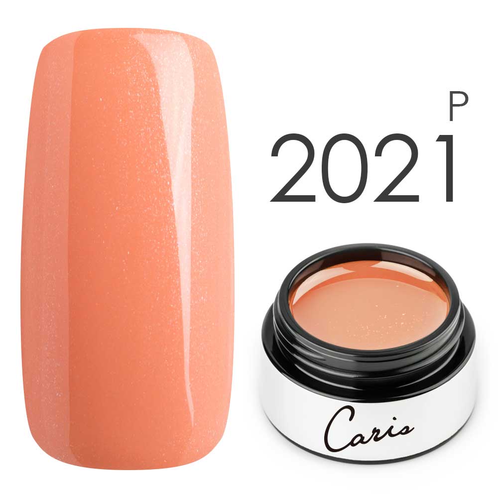 カラージェル#2021パール系カラージェル　国産化粧品製造販売届出済、プロ用カラージェル画像