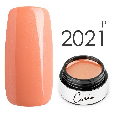 カラージェル#2021パール系カラージェル　国産化粧品製造販売届出済、プロ用カラージェル画像