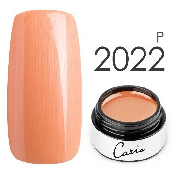 カラージェル#2022パール系カラージェル　国産化粧品製造販売届出済、プロ用カラージェル画像