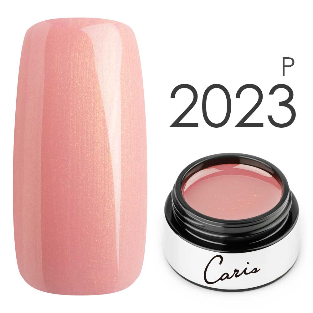 カラージェル#2023パール系カラージェル　国産化粧品製造販売届出済、プロ用カラージェル画像