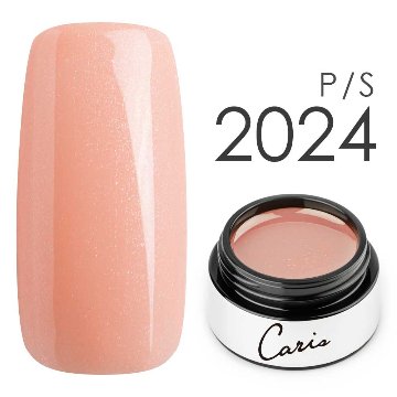 カラージェル#2024パール系カラージェル　国産化粧品製造販売届出済、プロ用カラージェル画像