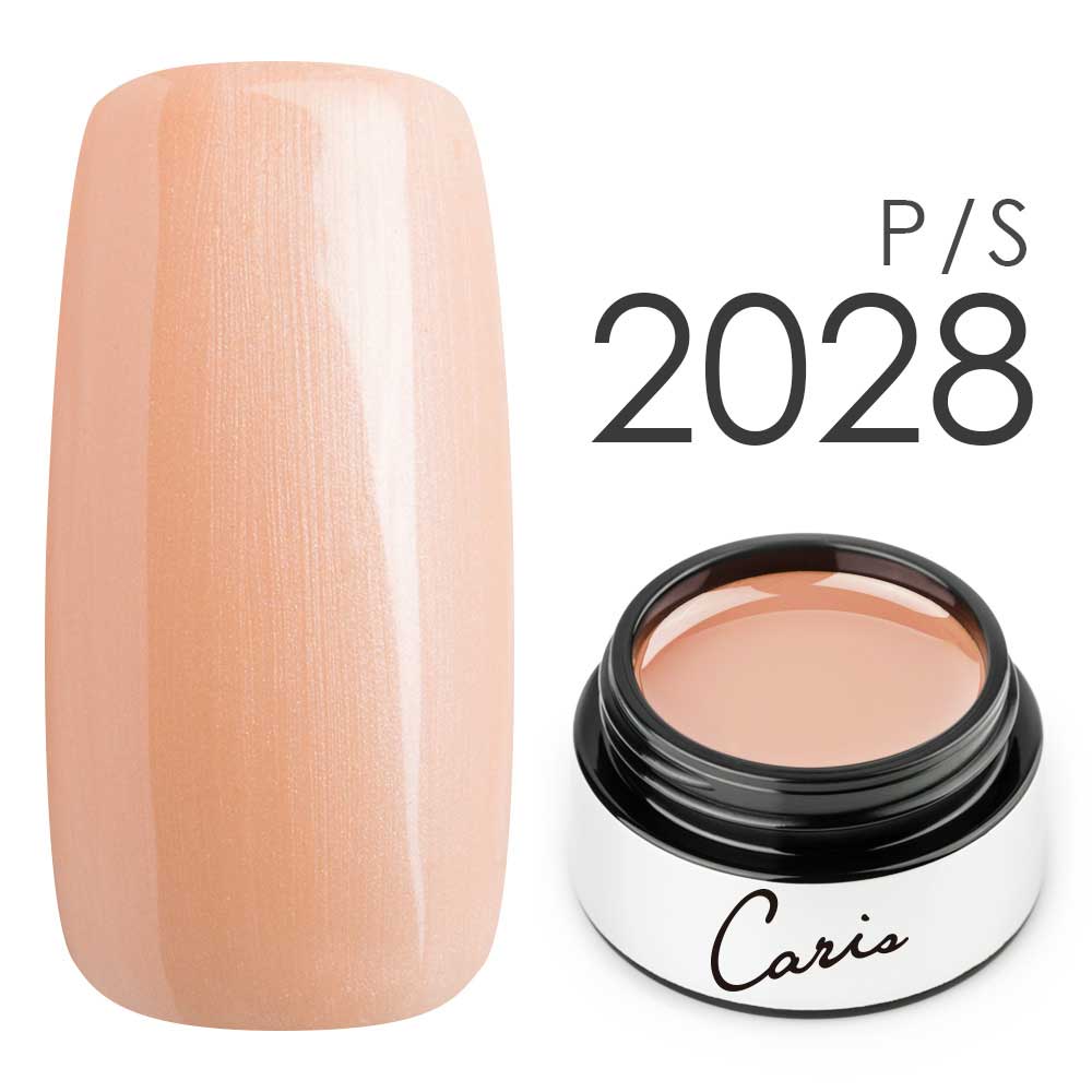 カラージェル#2028シアーパール系カラージェル　国産化粧品製造販売届出済、プロ用カラージェルの画像