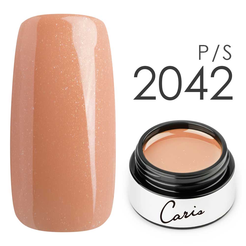 カラージェル#2042シアーパール系カラージェル　国産化粧品製造販売届出済、プロ用カラージェルの画像