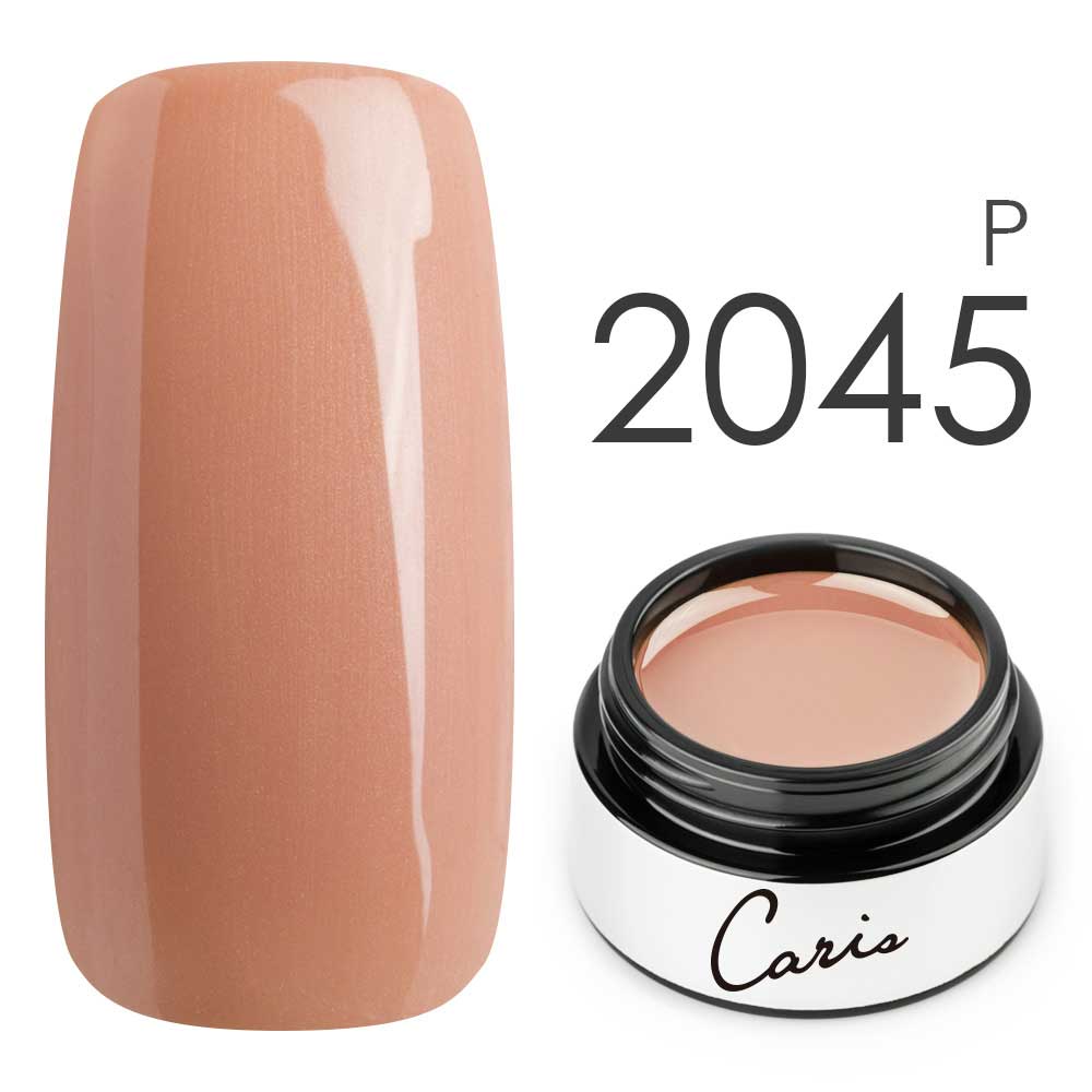カラージェル#2045パール系カラージェル　国産化粧品製造販売届出済、プロ用カラージェルの画像