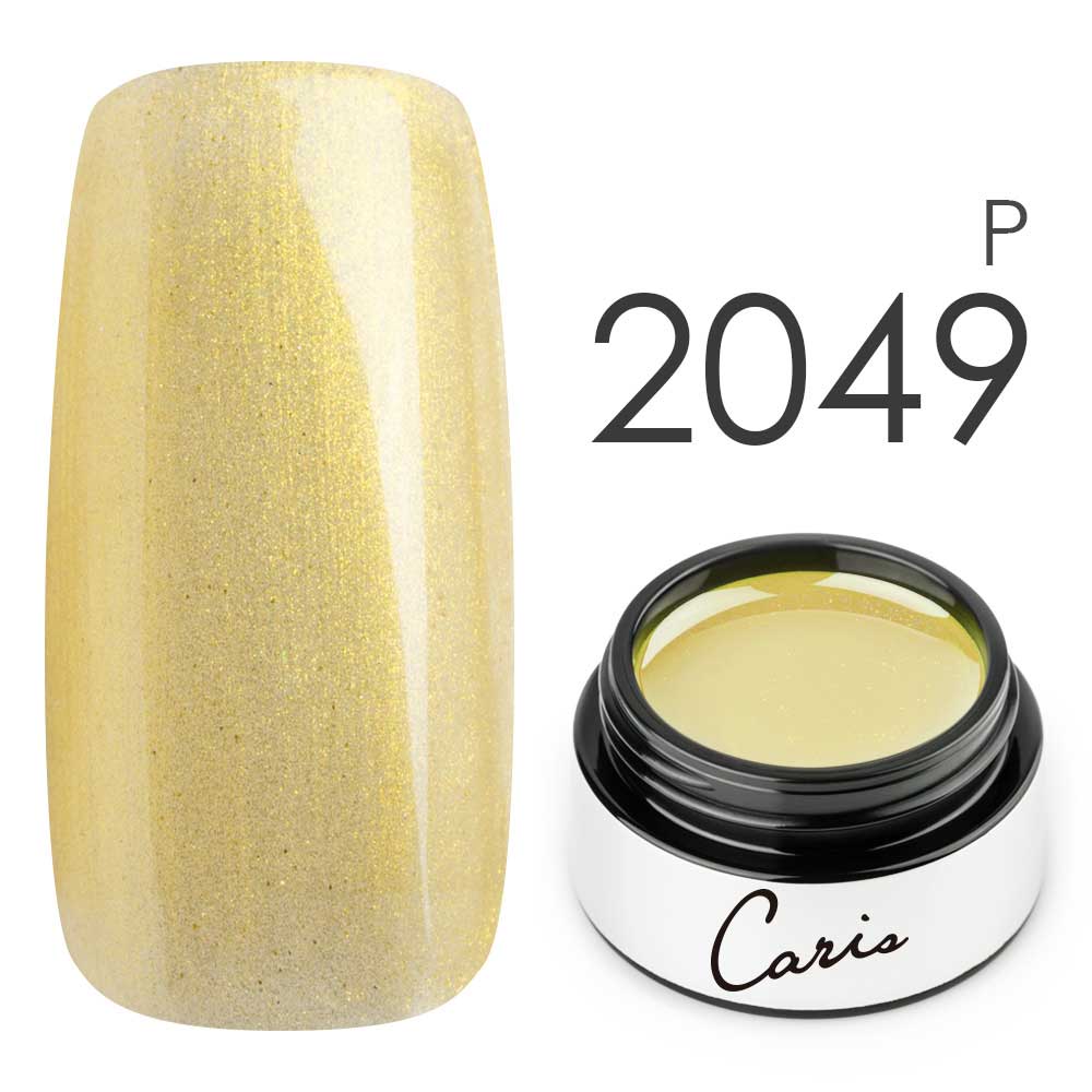 カラージェル#2049パール系カラージェル　国産化粧品製造販売届出済、プロ用カラージェルの画像