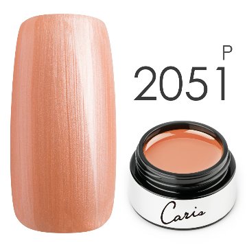 カラージェル#2051パール系カラージェル　国産化粧品製造販売届出済、プロ用カラージェル画像