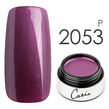 カラージェル#2053パール系カラージェル　国産化粧品製造販売届出済、プロ用カラージェル画像
