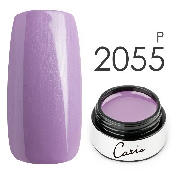 カラージェル#2055パール系カラージェル　国産化粧品製造販売届出済、プロ用カラージェル画像