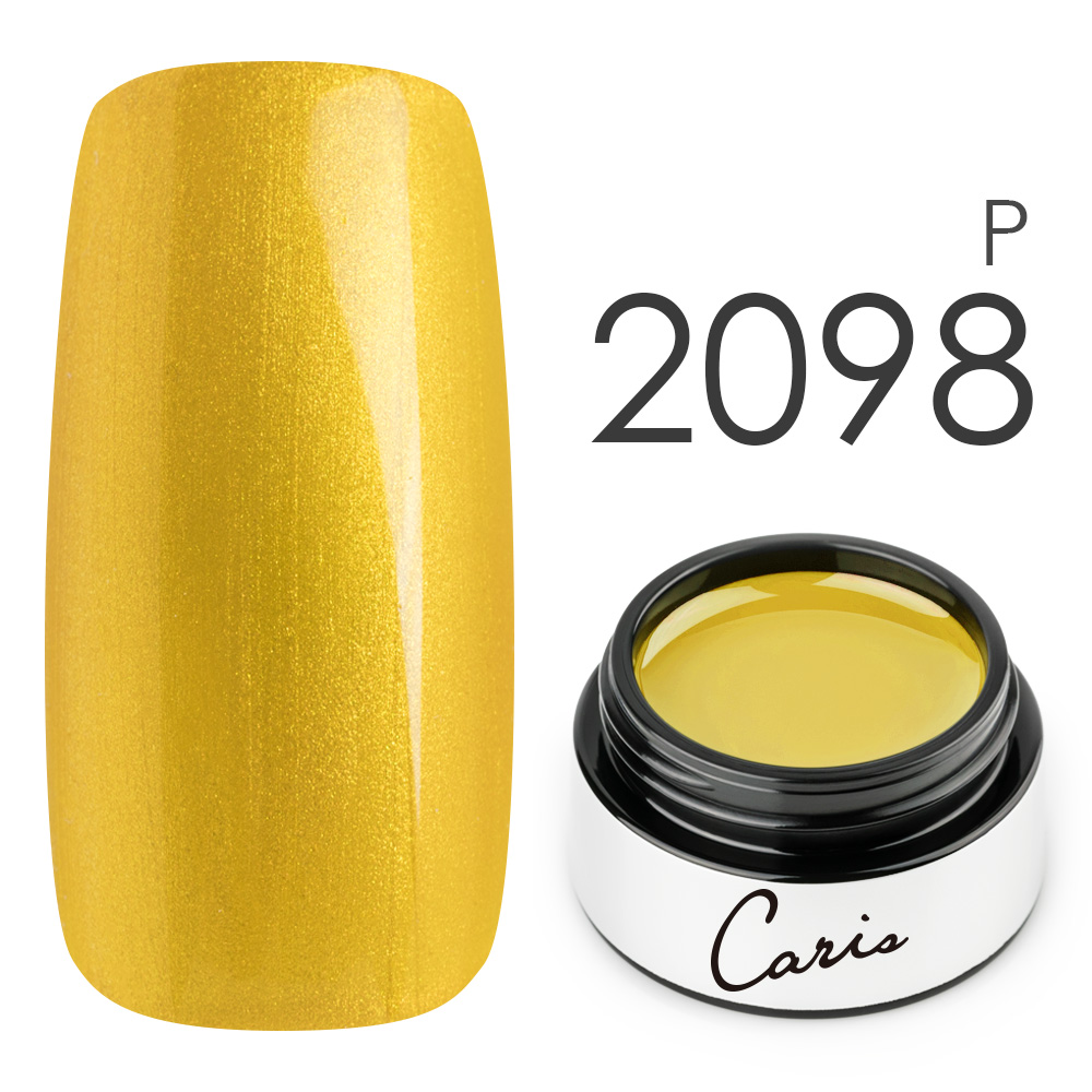 カラージェル#2098パール系カラージェル　国産化粧品製造販売届出済、プロ用カラージェルの画像