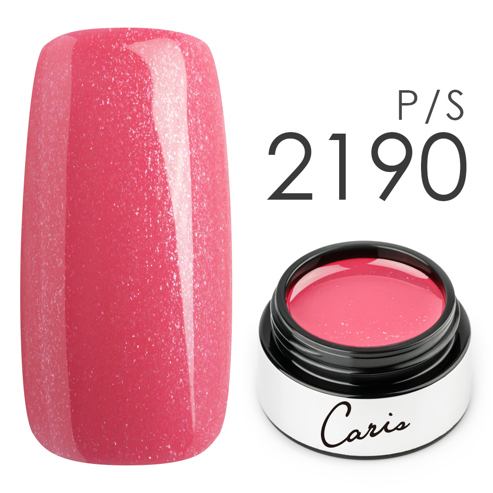 カラージェル#2190シアーパール系カラージェル　国産化粧品製造販売届出済、プロ用カラージェルの画像