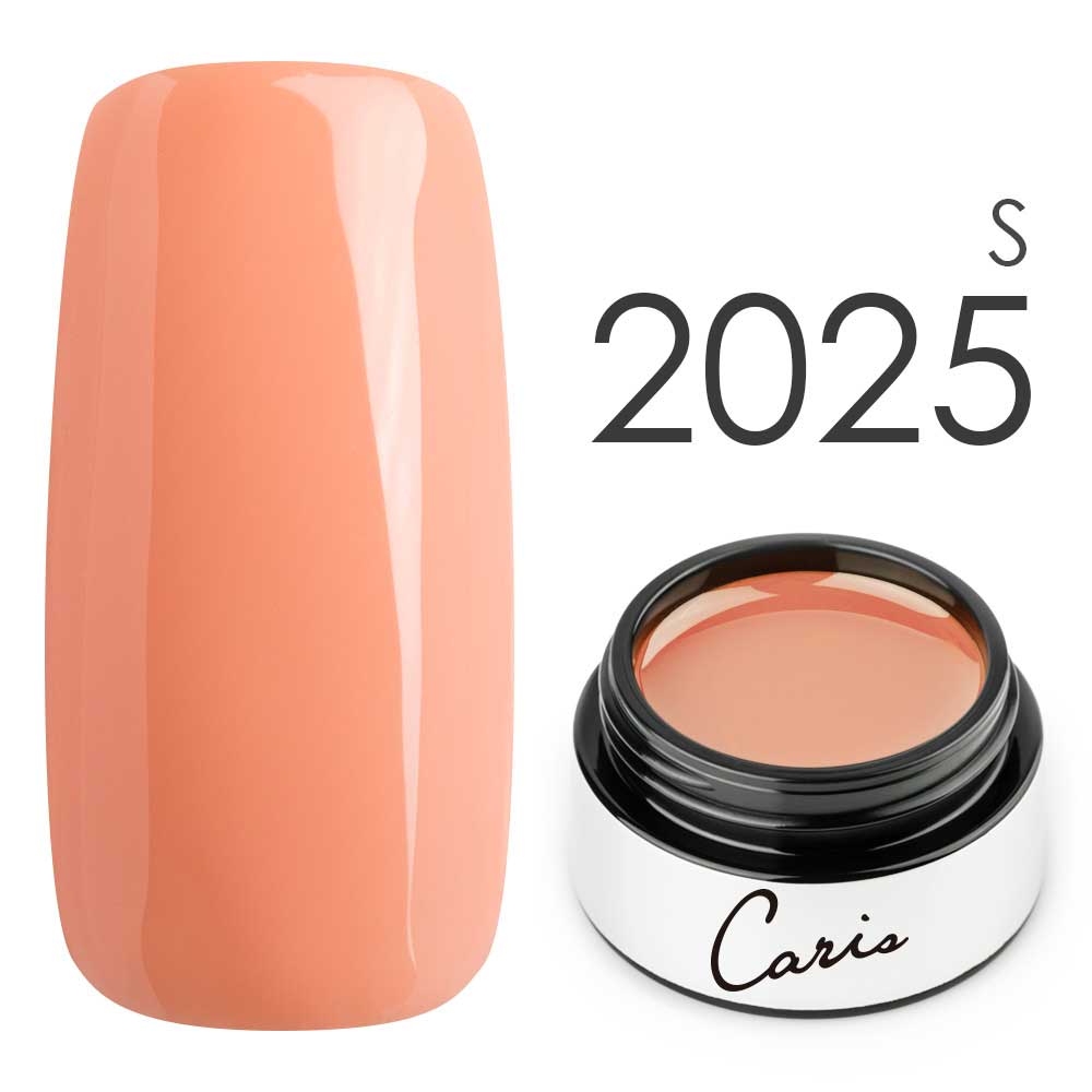カラージェル#2025シアー系カラージェル　国産化粧品製造販売届出済、プロ用カラージェル画像