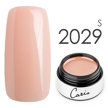 カラージェル#2029シアー系カラージェル　国産化粧品製造販売届出済、プロ用カラージェル画像