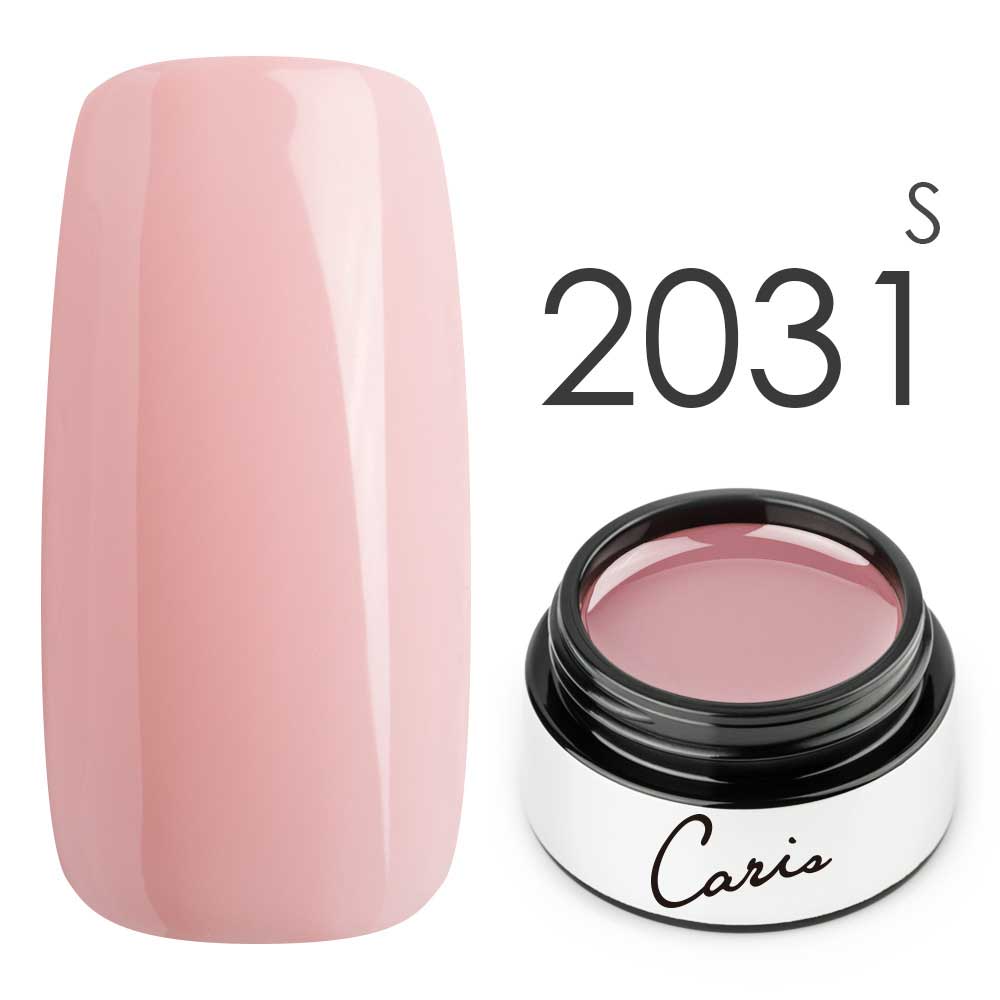 カラージェル#2031シアー系カラージェル　国産化粧品製造販売届出済、プロ用カラージェル画像