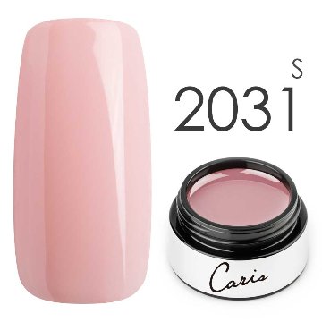 カラージェル#2031シアー系カラージェル　国産化粧品製造販売届出済、プロ用カラージェル画像
