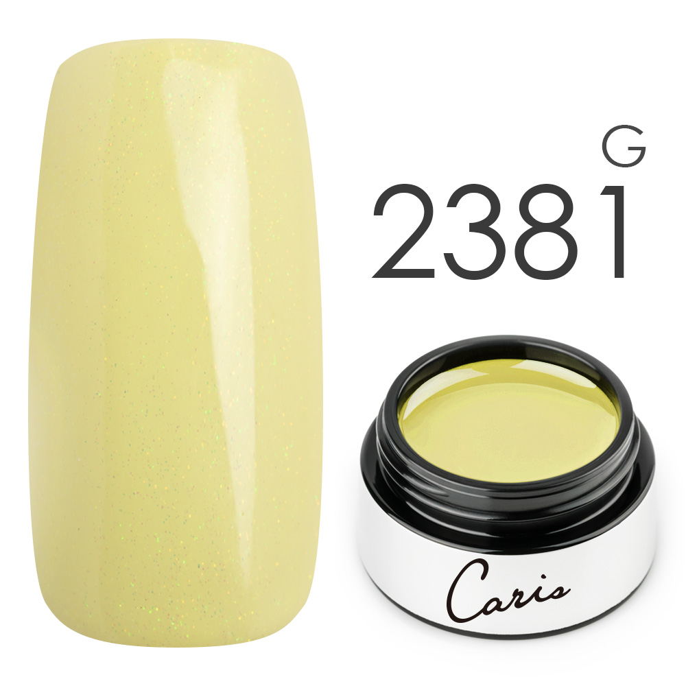 カラージェル#2381グリッター系カラージェル　国産化粧品製造販売届出済、プロ用カラージェル画像