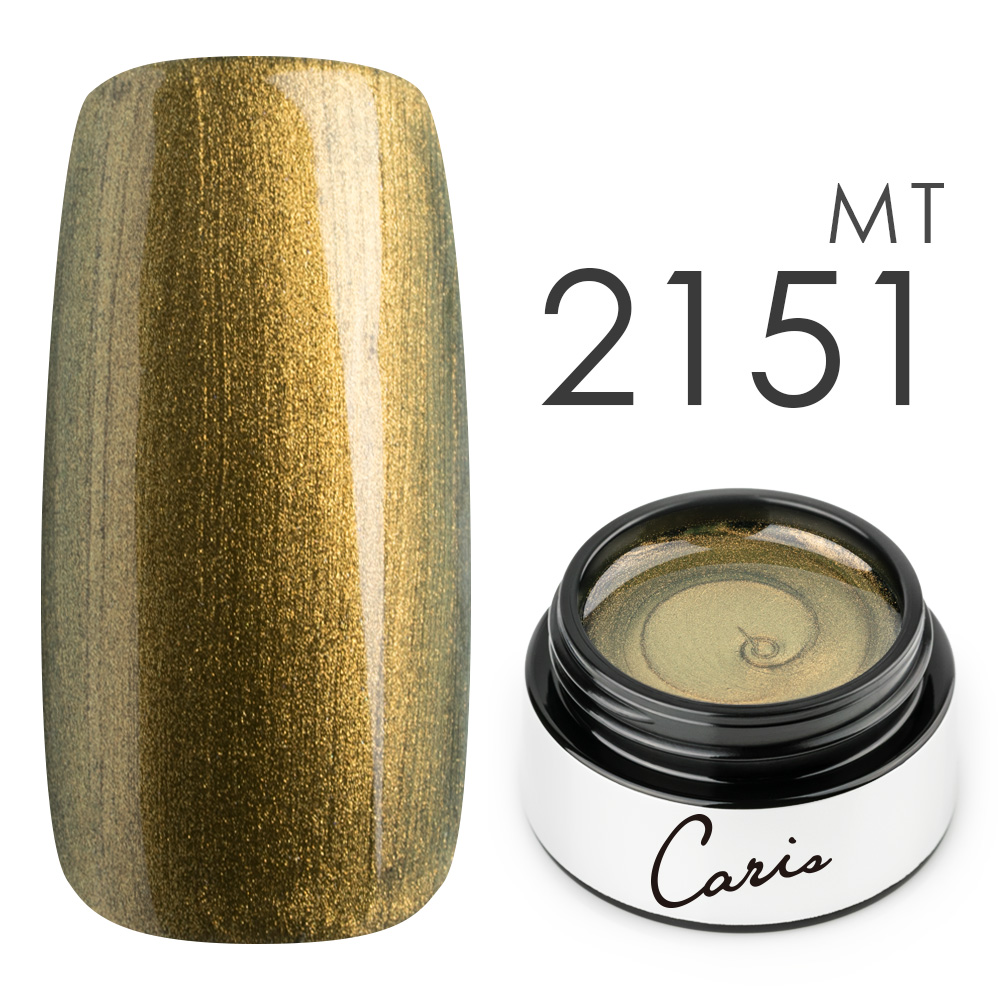 カラージェル#2151メタリック系カラージェル　国産化粧品製造販売届出済、プロ用カラージェルの画像