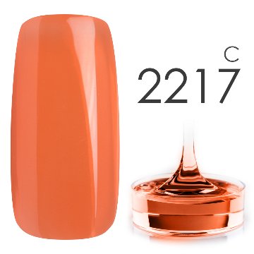 カラージェル#2217クリア系カラージェル　国産化粧品製造販売届出済、プロ用カラージェル画像