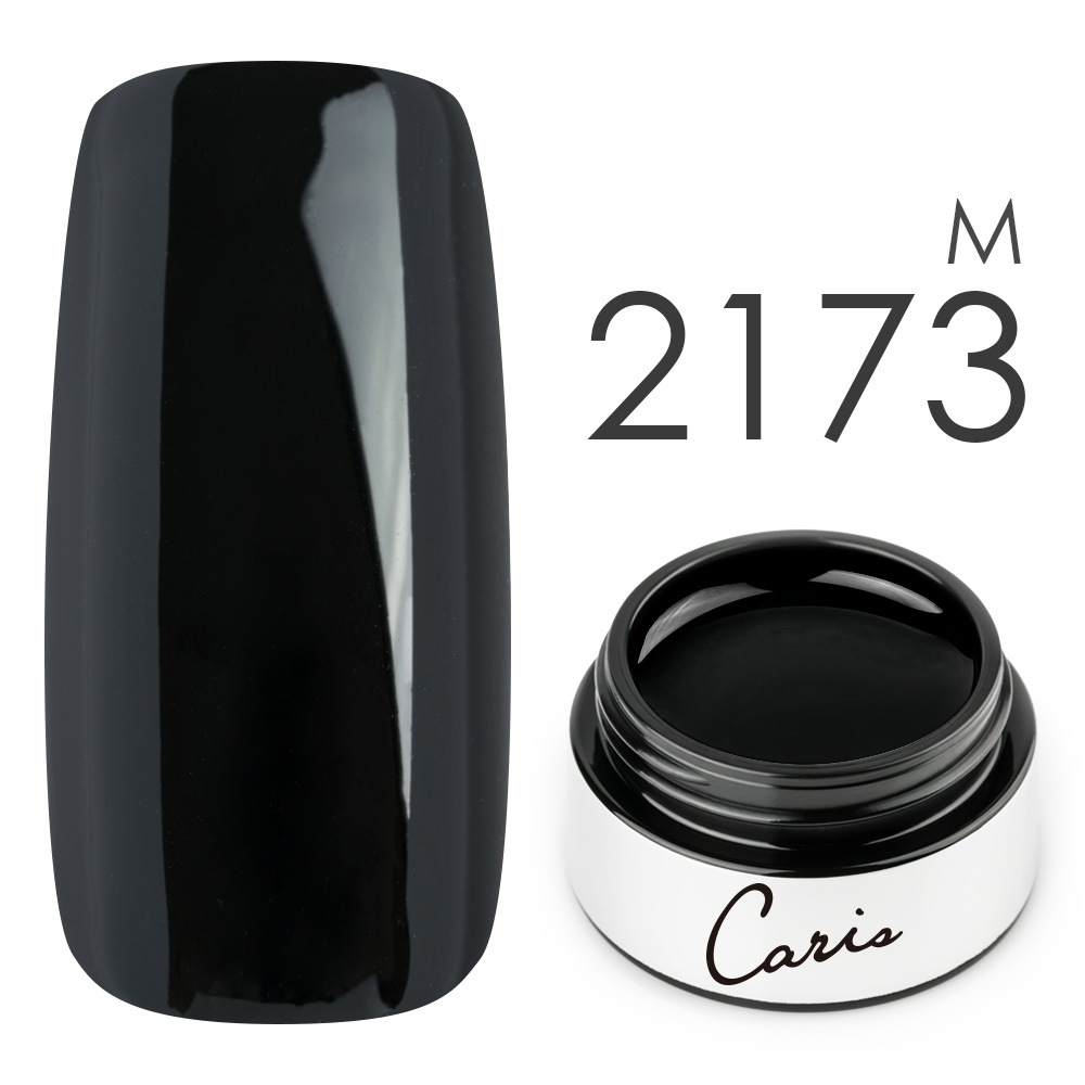 カラージェル#2173高粘度マット系カラージェル　国産化粧品製造販売届出済、プロ用カラージェルの画像