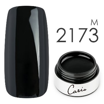 カラージェル#2173高粘度マット系カラージェル　国産化粧品製造販売届出済、プロ用カラージェルの画像