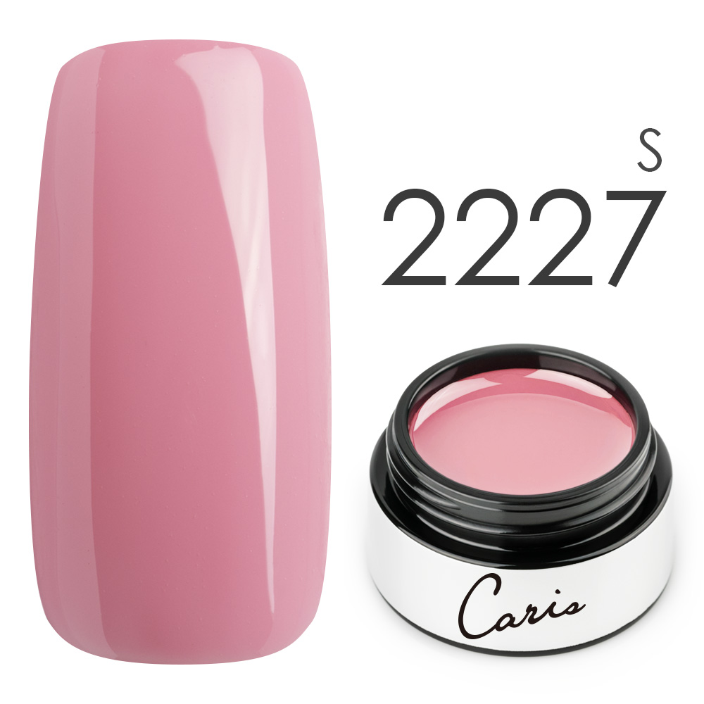 カラージェル#2227シアー系カラージェル　国産化粧品製造販売届出済、プロ用カラージェル画像
