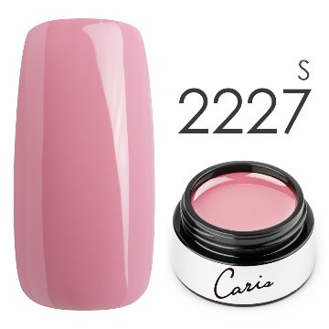 カラージェル#2227シアー系カラージェル　国産化粧品製造販売届出済、プロ用カラージェル画像