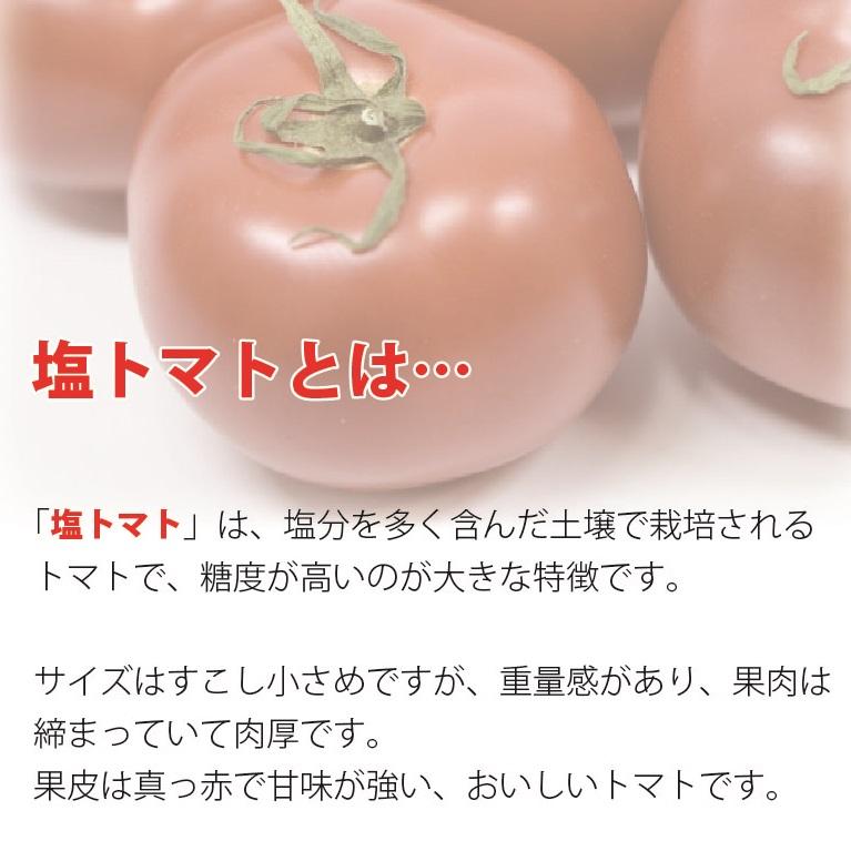 97.【3袋】塩トマト甘納豆　150g×3袋画像