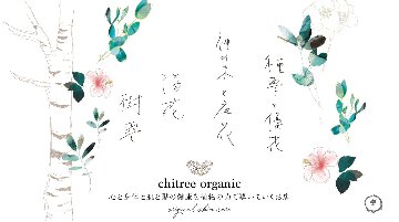 スキンケアシリーズ  4点set〈神木と夜花・種雫と優花・樹雫・陽花〉　-chitree organicオリジナル-画像