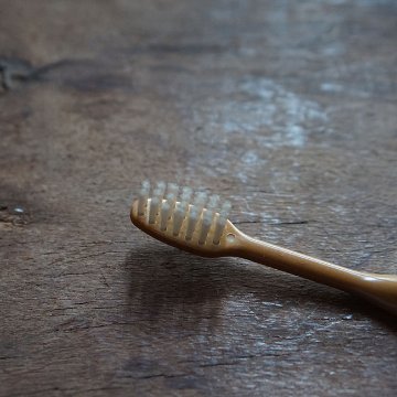 土に還る竹の歯ブラシ画像