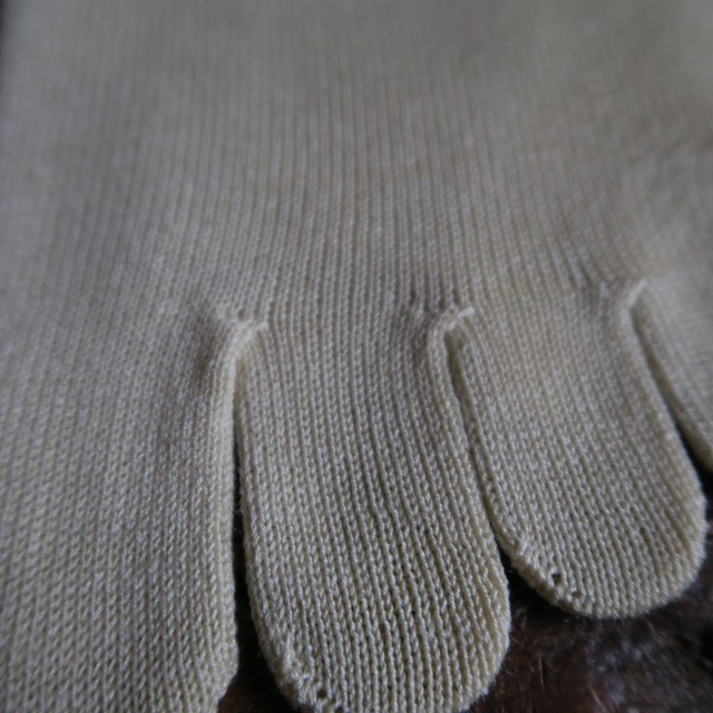 冷えとり：絹五本指靴下画像