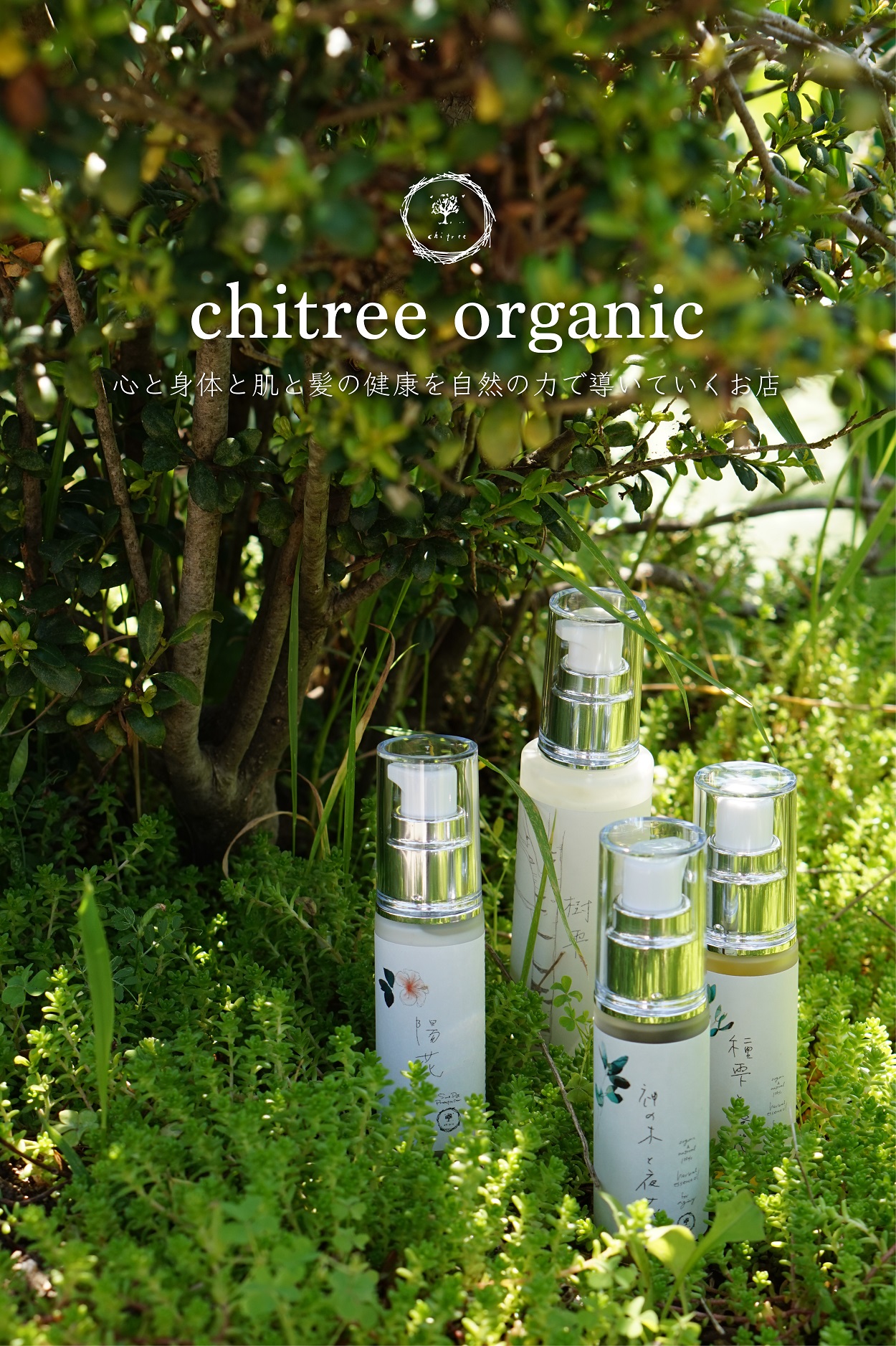 chitree organic乳液