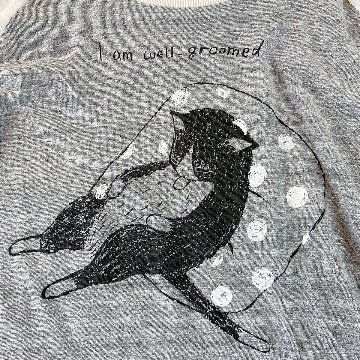 グルーミングねこのラグランTシャツ画像