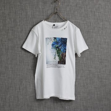 『Tree photo』　T-shirts　WHITEの画像