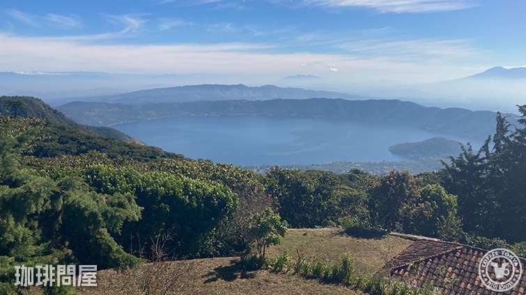 《中米》 エルサルバドル　ディヴィナ・プロヴィデンシア農園　パカマラ　ウォッシュド　(ｺｰﾋｰ)の画像