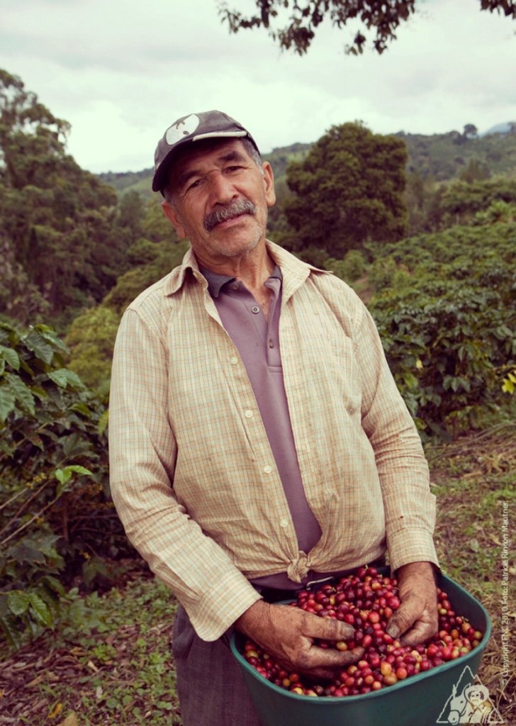 《南米》 コロンビア　ウィラ　サンアントニオ　ゲイシャ　アナエロビックNの画像