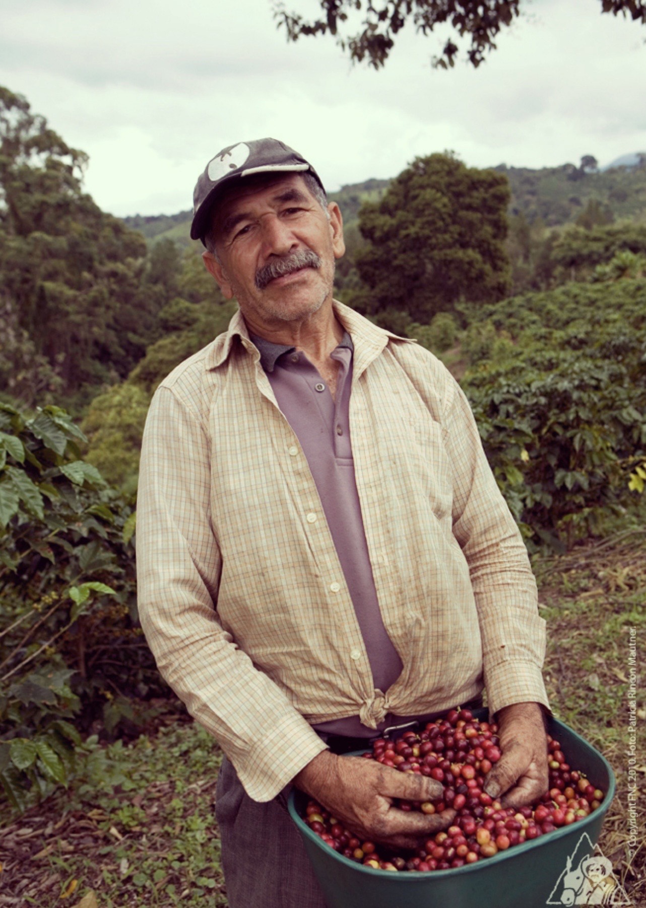 《南米》 コロンビア　ウィラ　サンアントニオ　ゲイシャ　アナエロビックNの画像