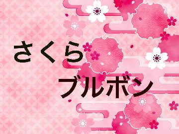 《南米》 ブラジル　さくらブルボン　(ｺｰﾋｰ)の画像