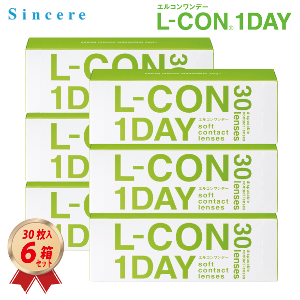 1DAY エルコンワンデー 30枚入り 6箱セットの画像