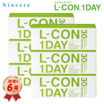 1DAY エルコンワンデー 30枚入り 6箱セットの画像