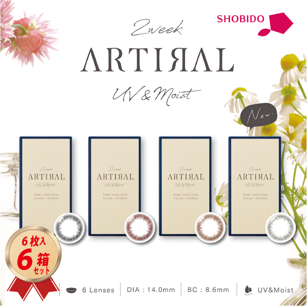 アーティラル 2week UVM 2ウィーク 6箱セットの画像