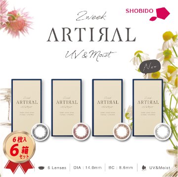 アーティラル 2week UVM 2ウィーク 6箱セットの画像