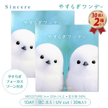 発売記念価格 1DAY やすらぎワンデー 30枚入り 2箱セット リラックスレンズの画像