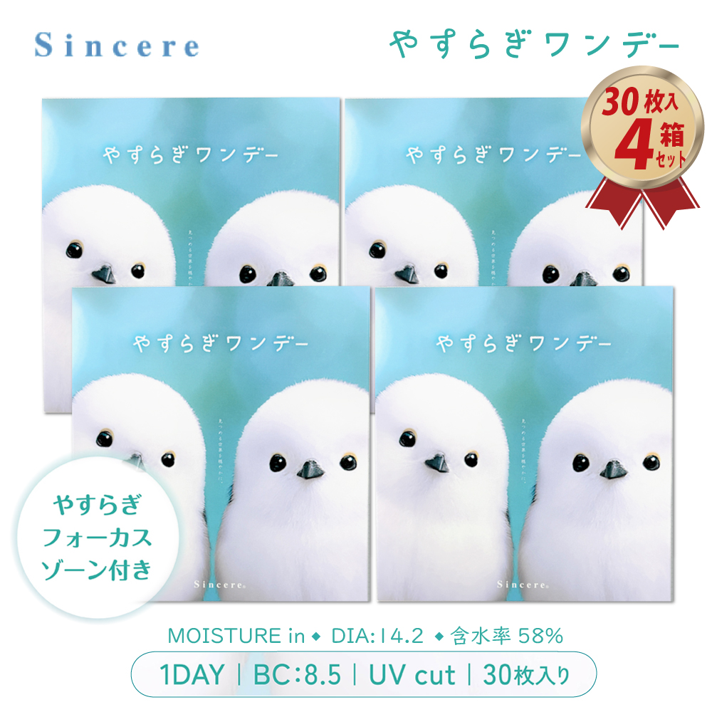 発売記念価格 1DAY やすらぎワンデー 30枚入り 4箱セット リラックスレンズの画像