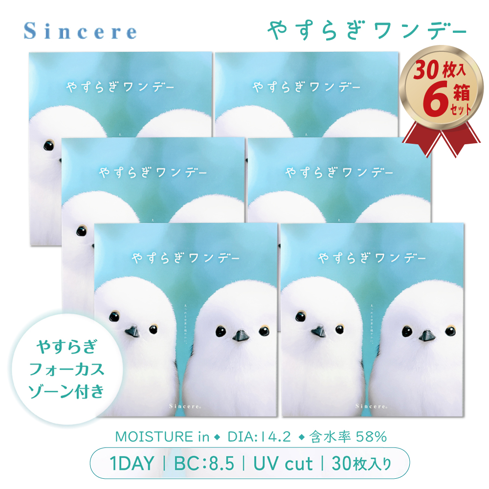発売記念価格 1DAY やすらぎワンデー 30枚入り 6箱セット リラックスレンズの画像