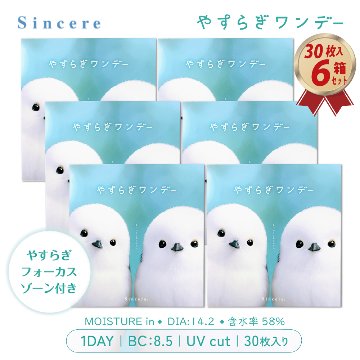 発売記念価格 1DAY やすらぎワンデー 30枚入り 6箱セット リラックスレンズの画像