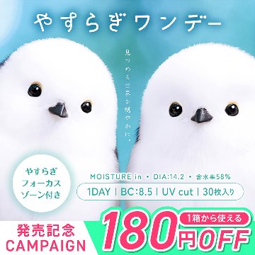 発売記念価格 1DAY やすらぎワンデー 30枚入り 8箱セット リラックスレンズの画像