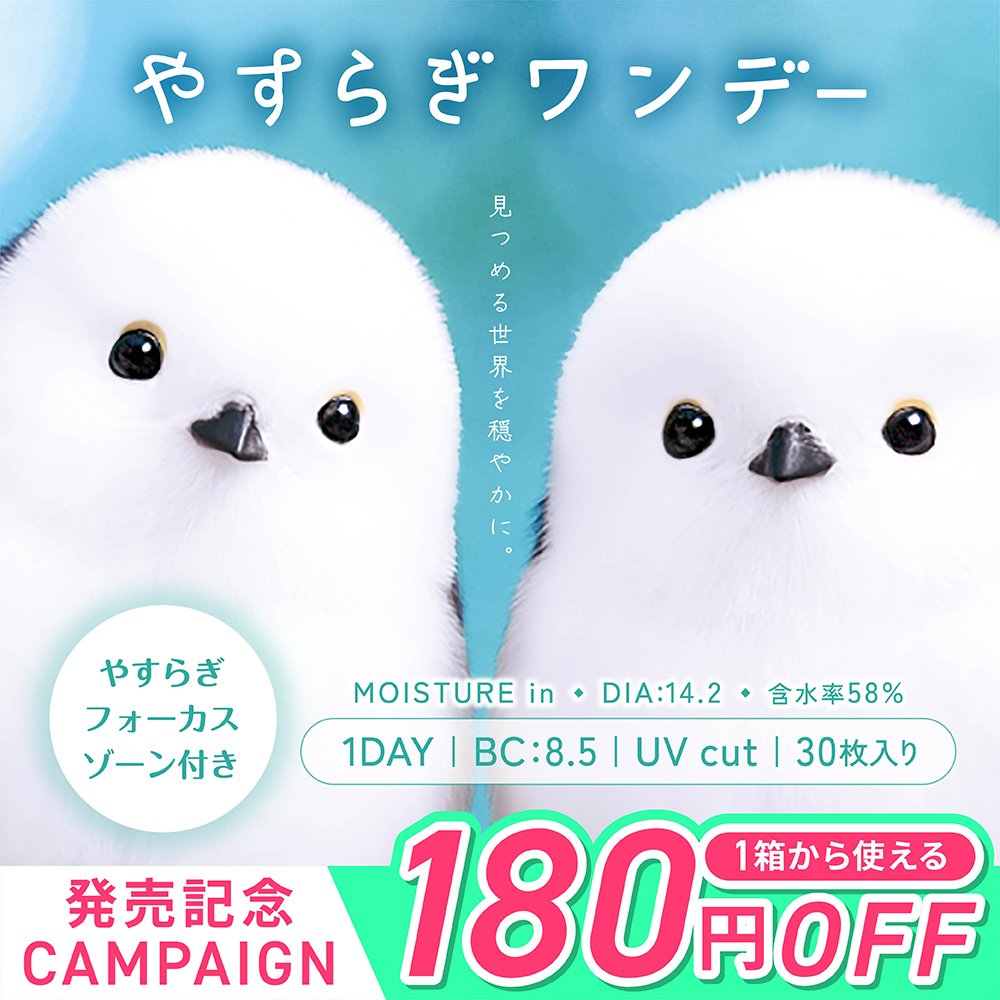 発売記念価格 1DAY やすらぎワンデー 30枚入り 1箱 リラックスレンズの画像