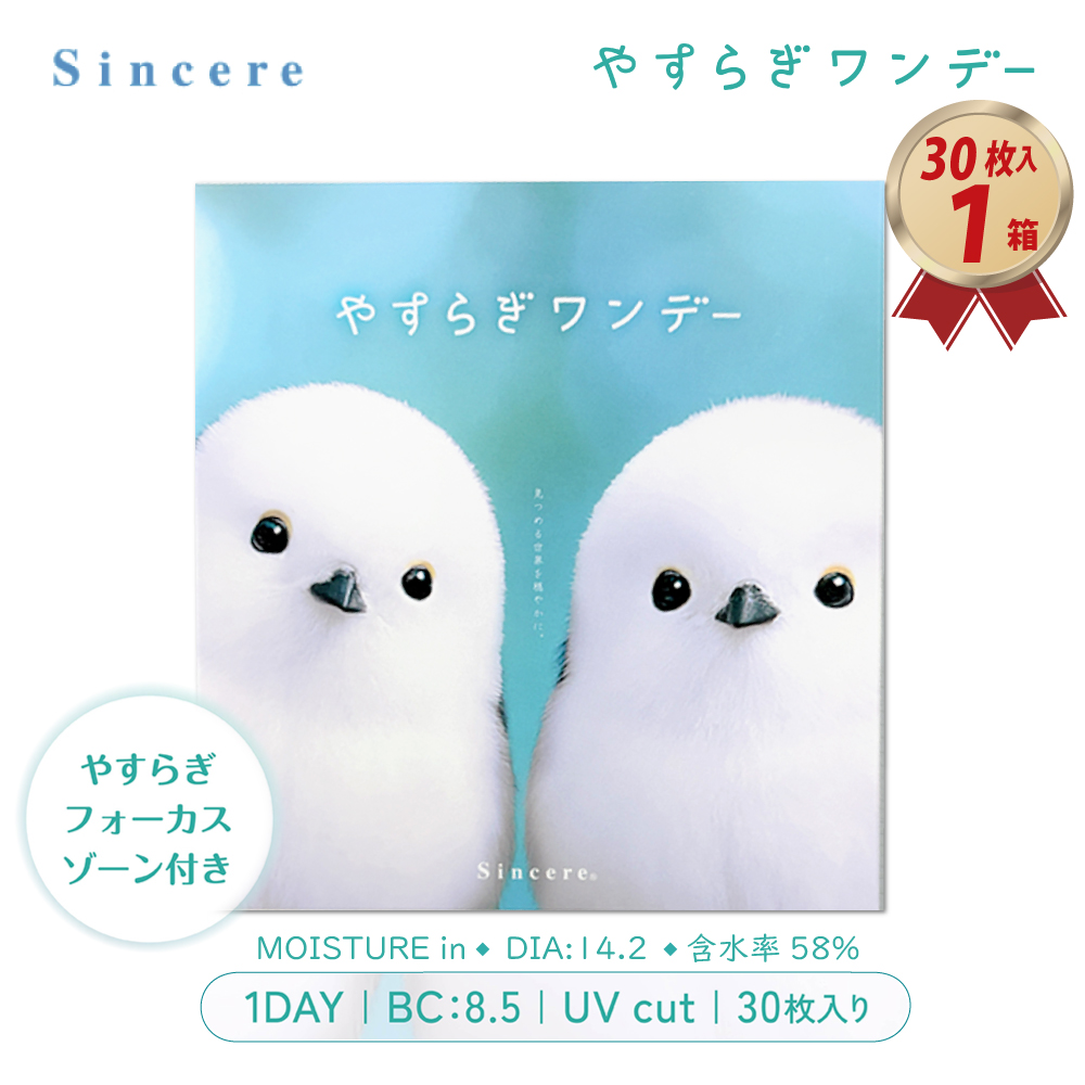 発売記念価格 1DAY やすらぎワンデー 30枚入り 1箱 リラックスレンズの画像