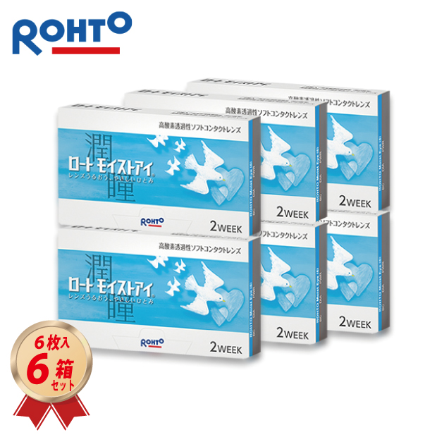 2WEEK ロート モイストアイ 6枚入 6箱セット クーパービジョン製の画像